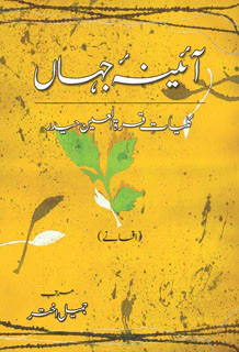 Aayena-e-jahaan (2) - Afsanay
