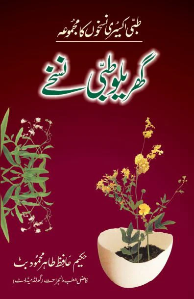 Gharelu Tibi Nuskhay