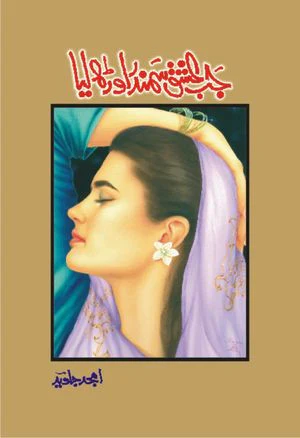 Jab Ishq Samundar Orh Liya