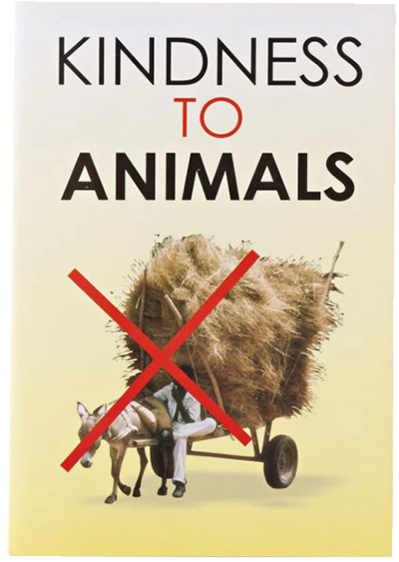 Kindness To Animals