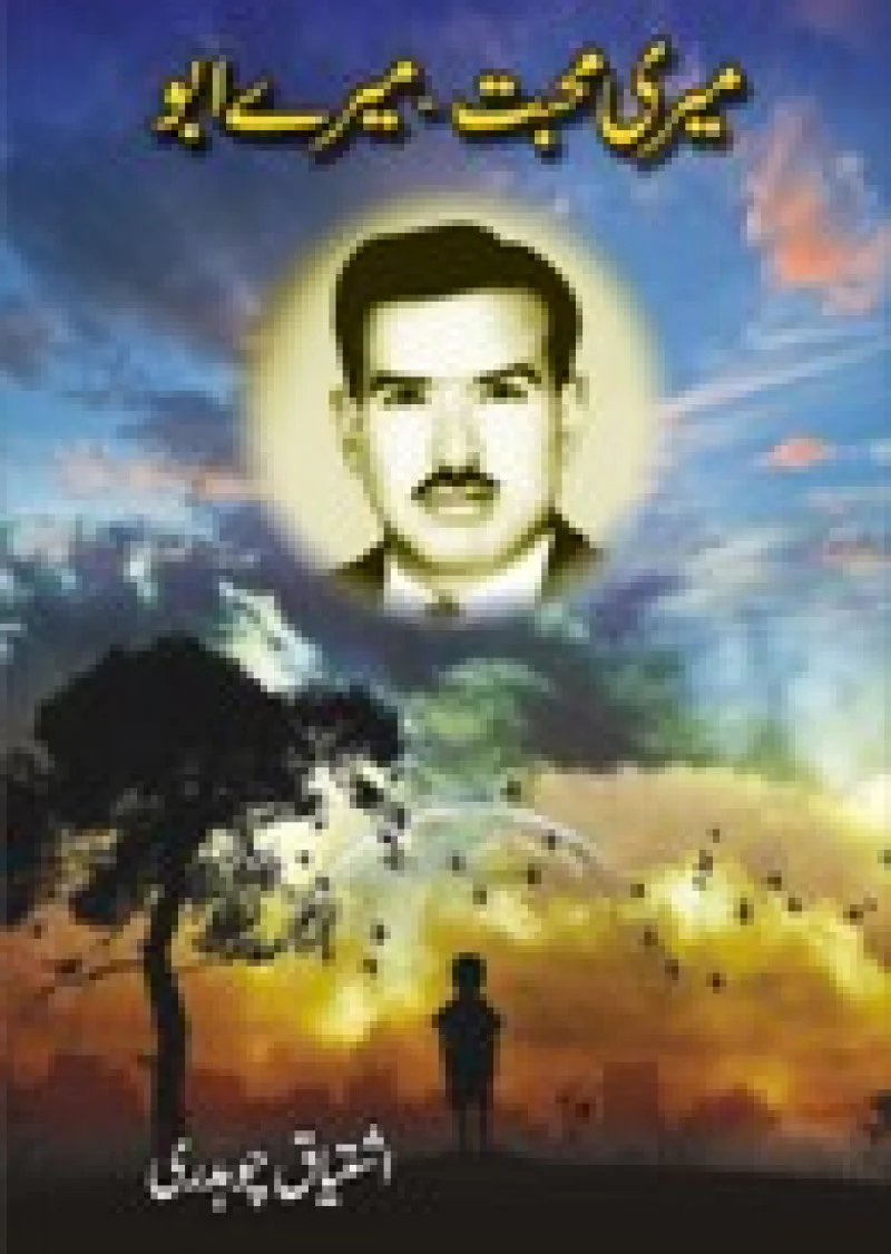 Meri Mohabbat Mery Abu