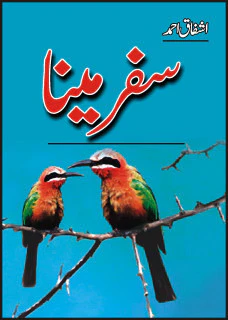 Safar-i Mina