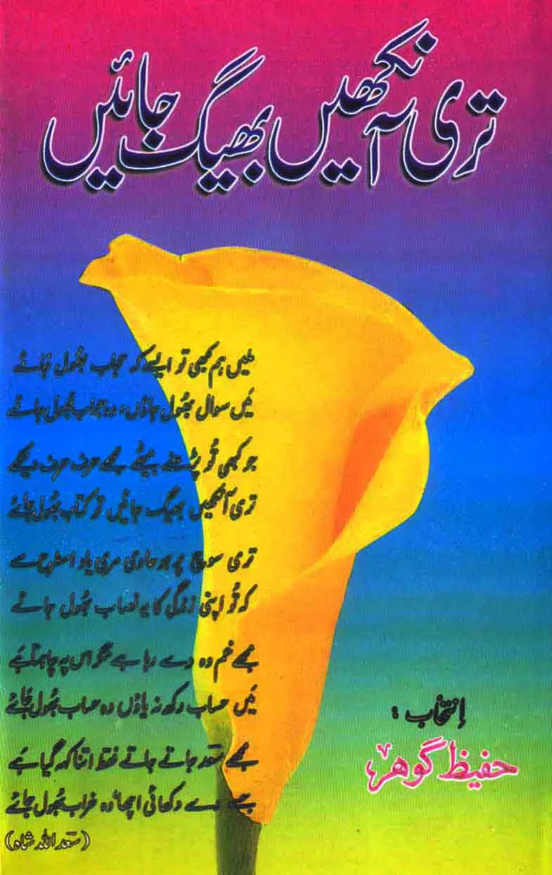 Teri Ankhain Big Jaen