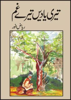 Teri Yadain Teray Gham