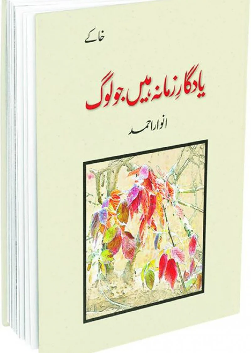 Yaadgaar-e-Zamana Hain jo Loag